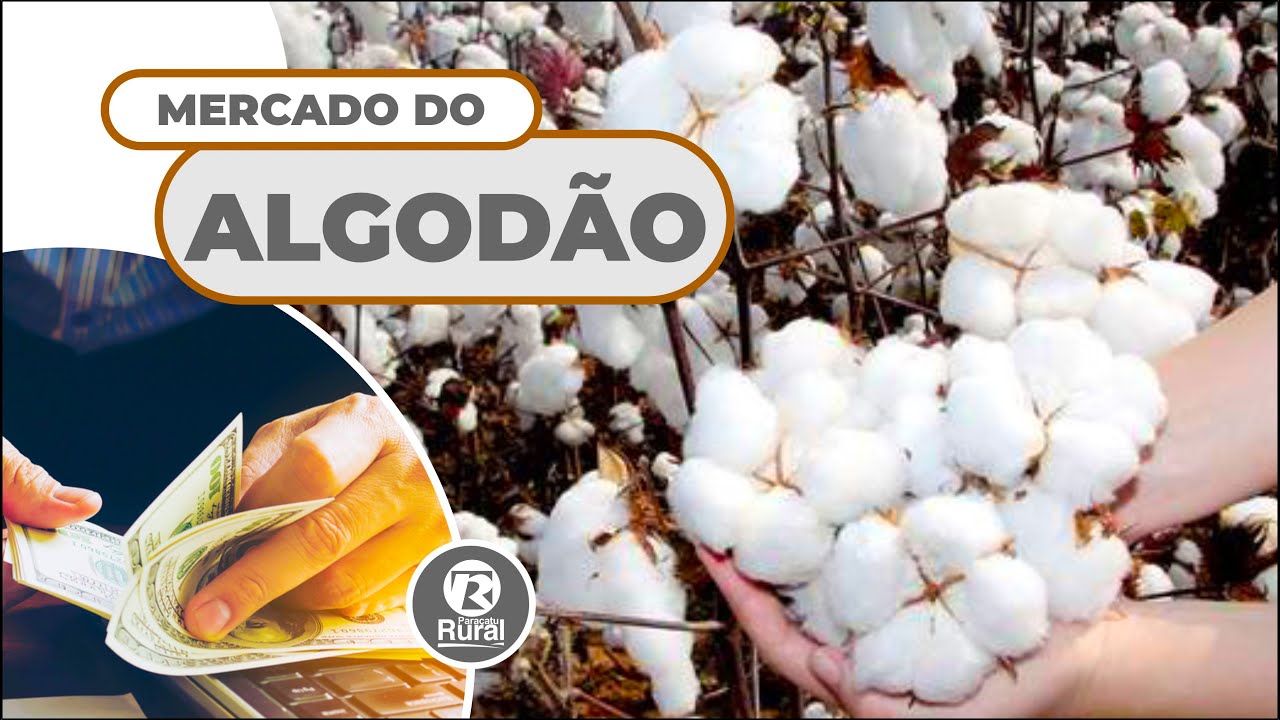 Mercado do algodão fica tumultuado por causa de nova variante da covid-19