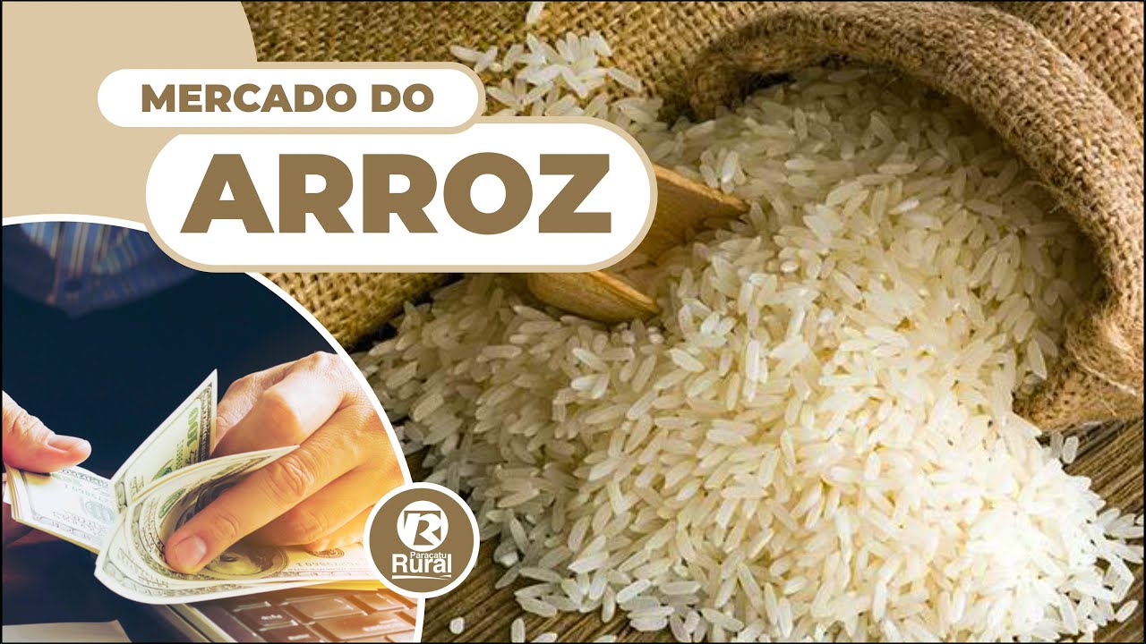 ARROZ brasileiro tem lavouras boas, mas mercado fraco e cotações baixas