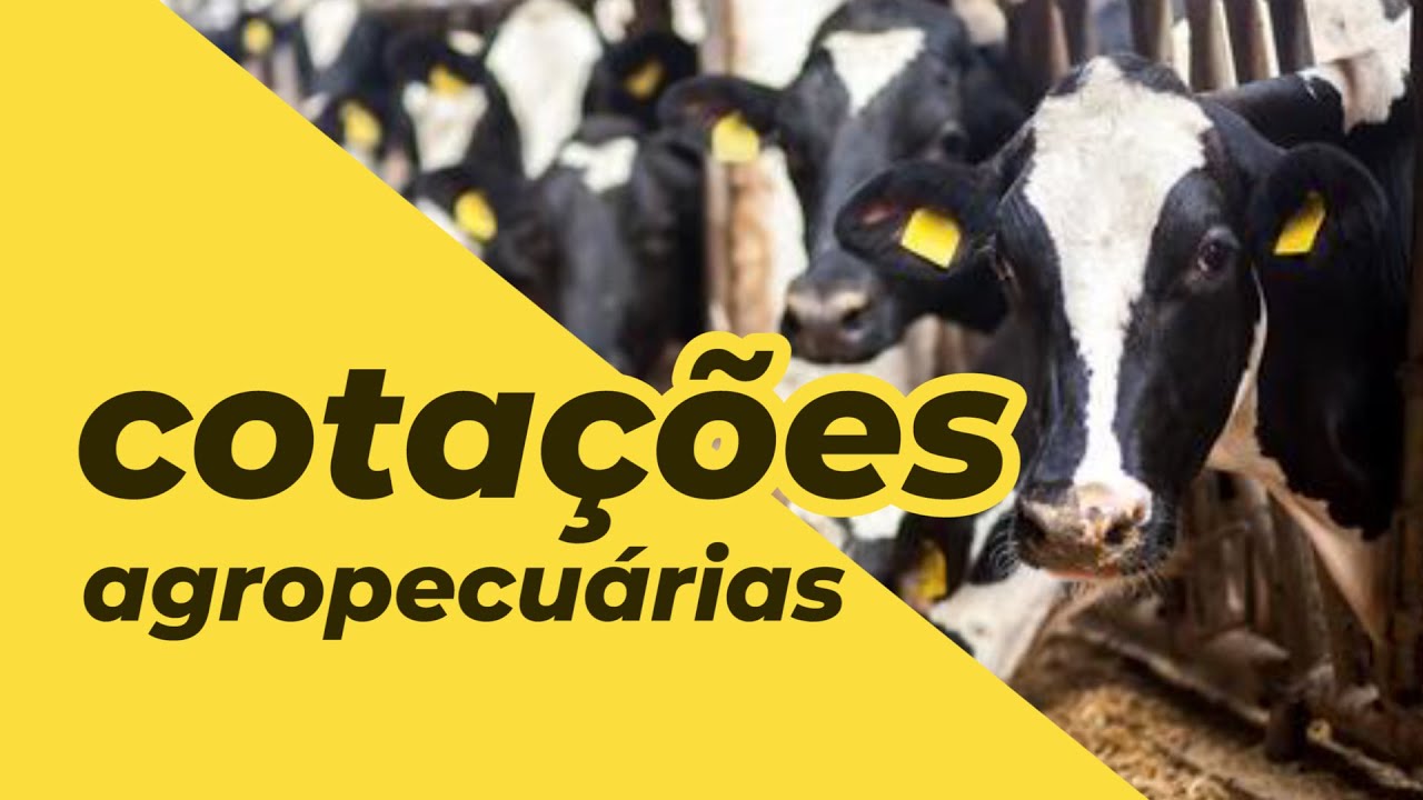 Cotações Agropecuárias 14-01-2022