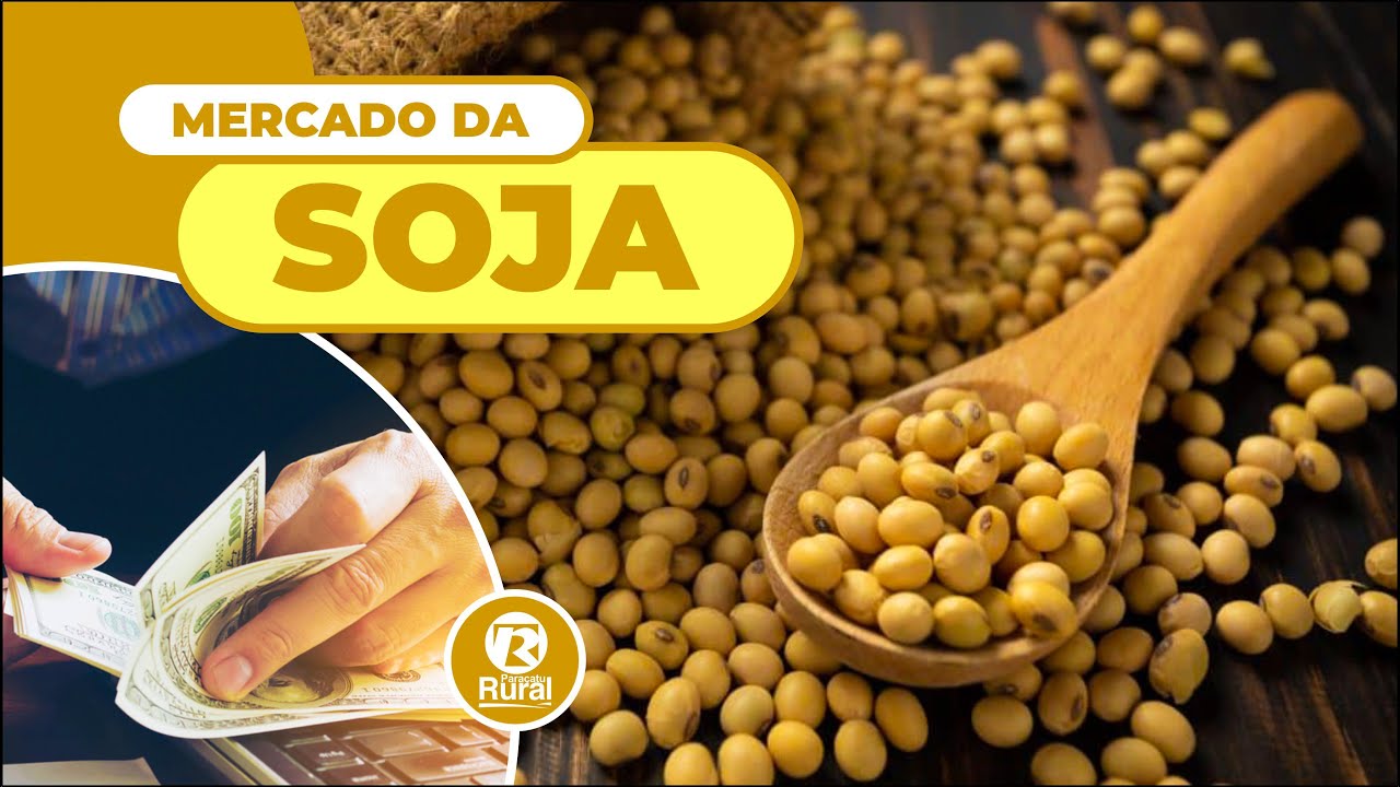 Chuvas seguem pontuais e safra da SOJA sofre no Sul