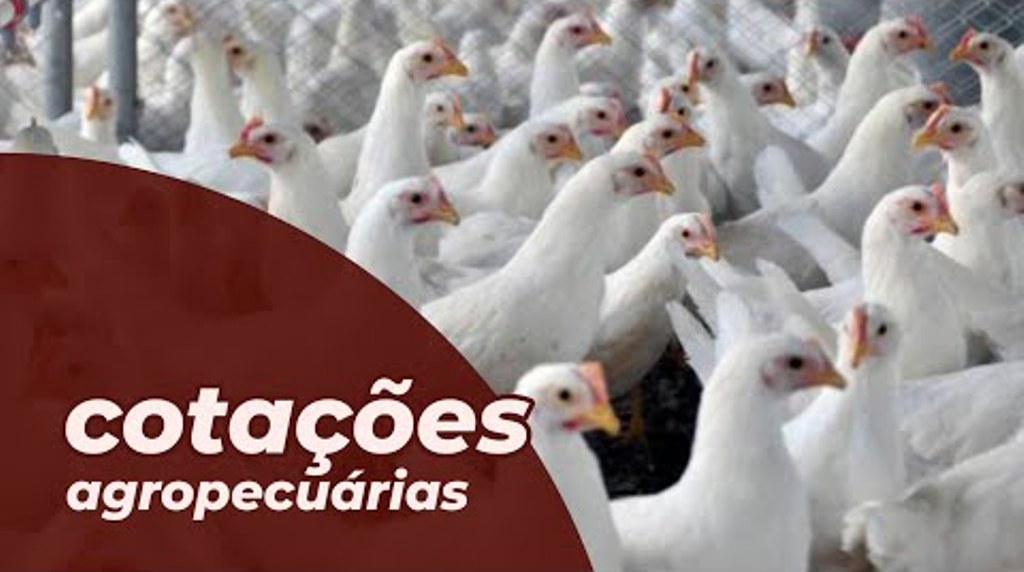 Cotações Agropecuárias 19-01-2022