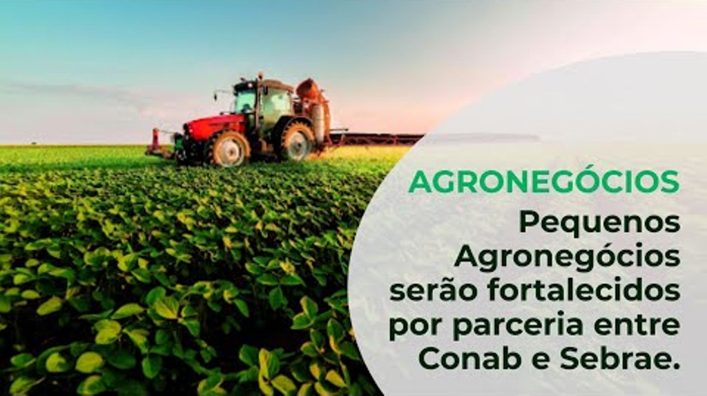 Pequenos Agronegócios serão fortalecidos por parceria entre Conab e Sebrae