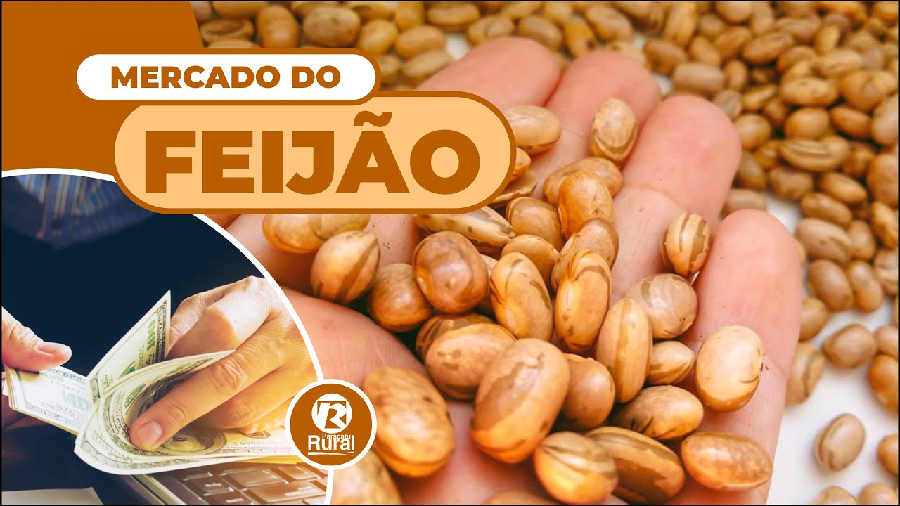 Mercado do FEIJÃO - 05-02-22