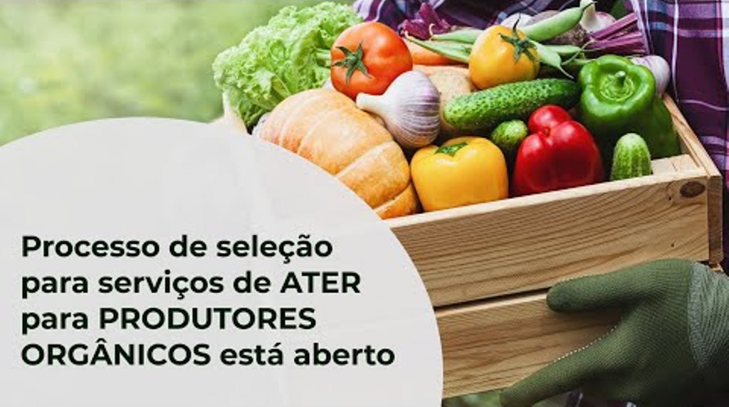 Processo de seleção para serviços de ATER para PRODUTORES ORGÂNICOS está aberto