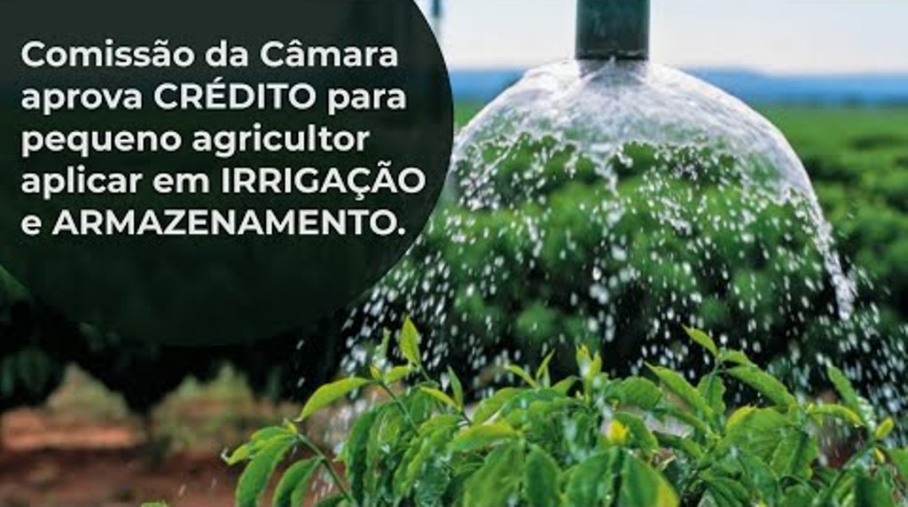 Comissão da Câmara aprova CRÉDITO para pequeno agricultor aplicar em IRRIGAÇÃO e ARMAZENAMENTO