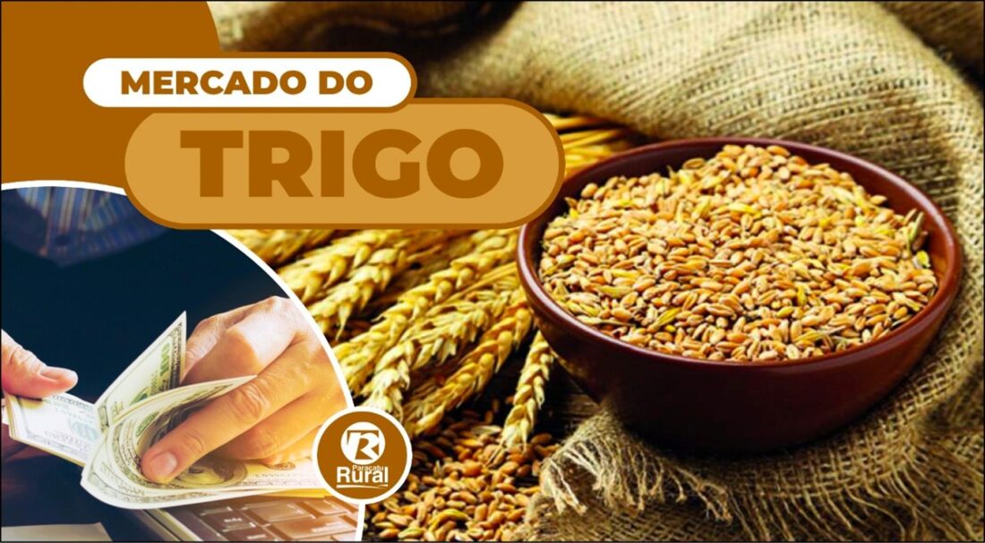 Mercado do TRIGO 23-04-2022