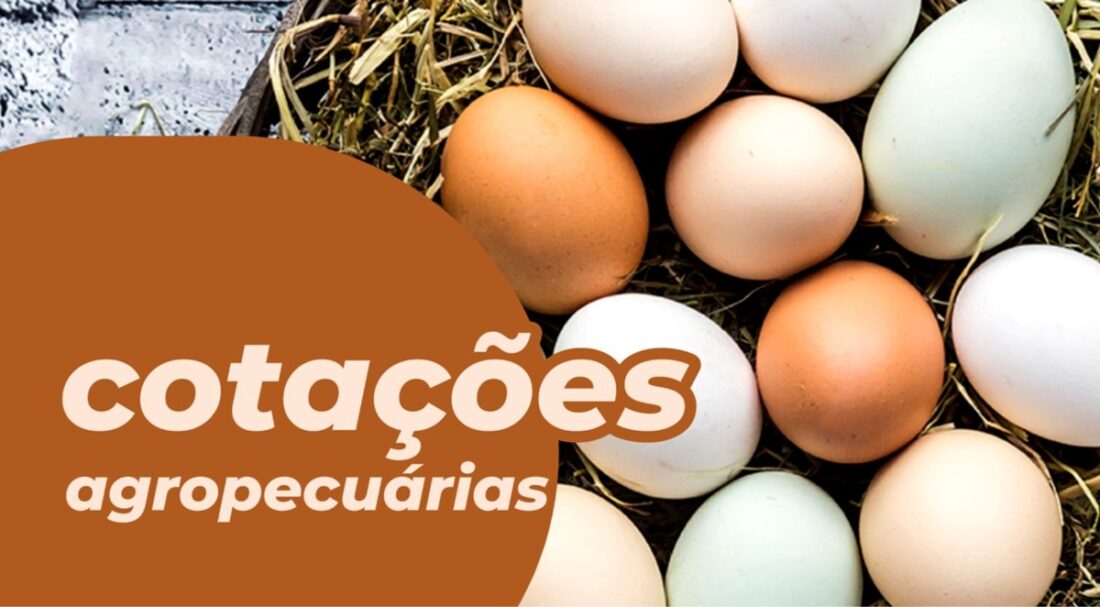 Cotações Agropecuárias 22-02-2022