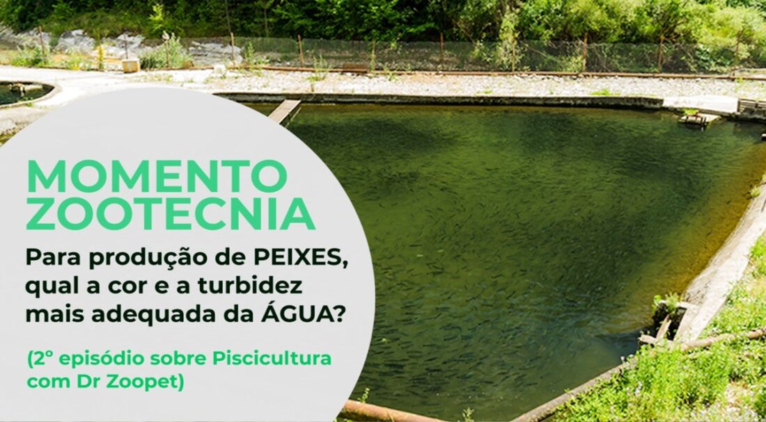 Para produção de PEIXES, qual a cor e a turbidez mais adequada da ÁGUA?