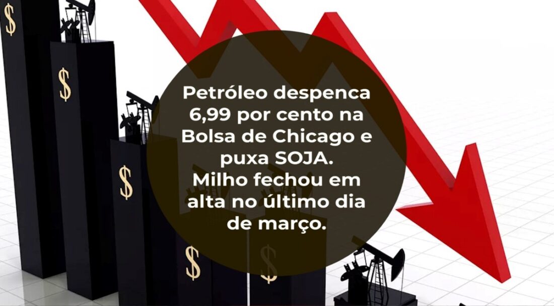 Petróleo despenca 6,99 por cento na Bolsa de Chicago e puxa SOJA. Milho fecha em alta