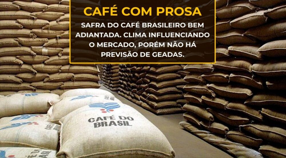 Safra do CAFÉ brasileiro bem adiantada. Clima influenciando o mercado, sem previsão de geadas