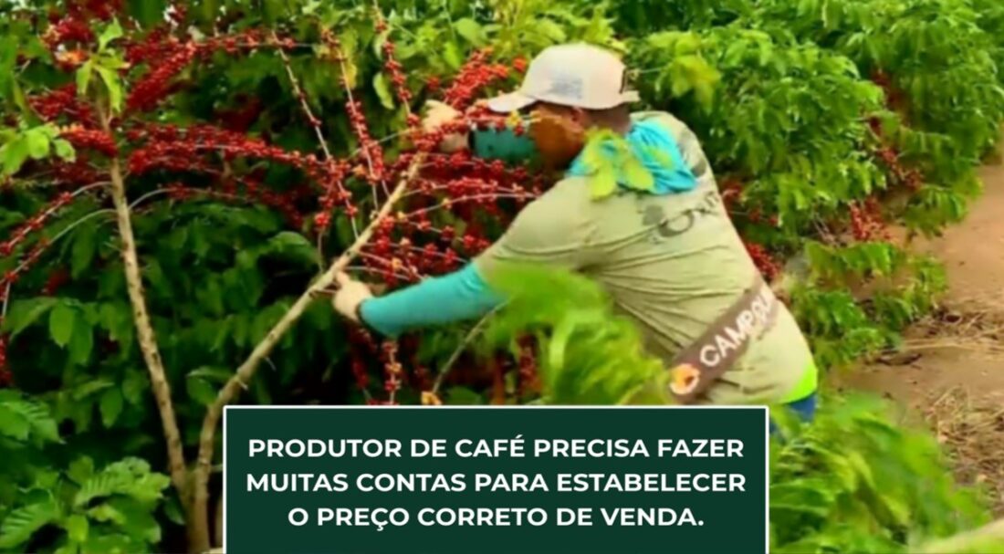 Produtor de CAFÉ precisa fazer muitas contas para estabelecer o preço correto de venda