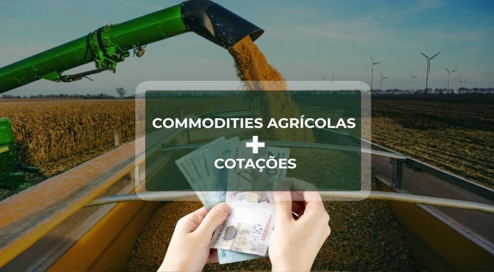 Dia ‘SANGRENTO’ para as COMMODITIES AGRÍCOLAS nas bolsas internacionais nesta quarta-feira.