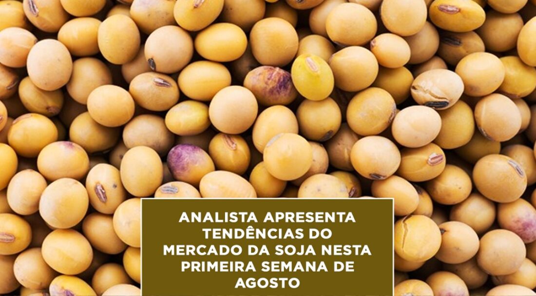 Analista apresenta tendências do Mercado da Soja nesta primeira semana de Agosto