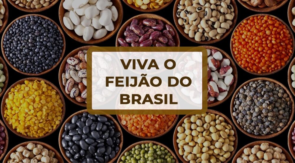 VIVA O FEIJÃO: Preços do feijão reagem e produtor deve ficar atento para fazer bons negócios.