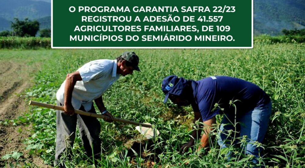 O PROGRAMA GARANTIA SAFRA 22/23 registrou a adesão de 41.557 agricultores familiares.