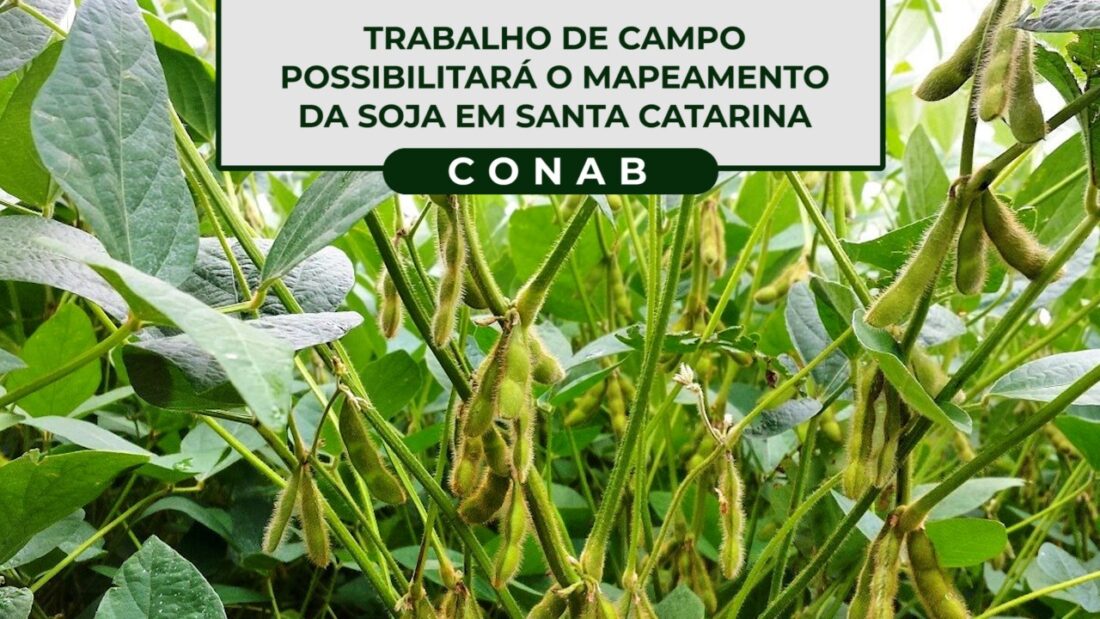 Trabalho de campo possibilitará o mapeamento da soja em Santa Catarina.