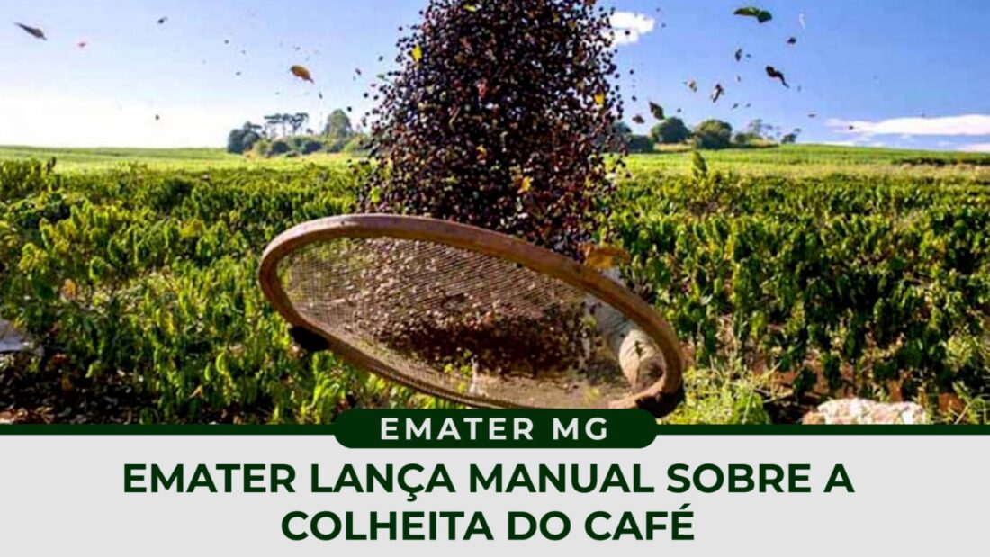 EMATER lança manual sobre a colheita do café.