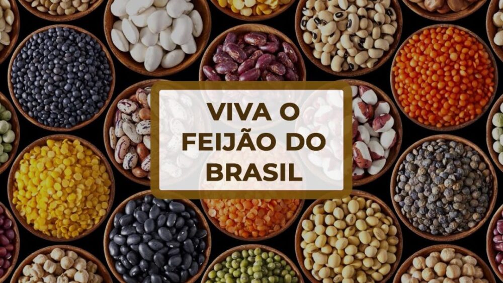 Mercado do feijão: o que esperar em março?