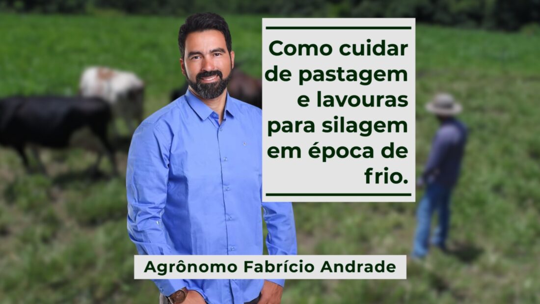 Como cuidar de pastagem e lavouras para silagem em época de frio