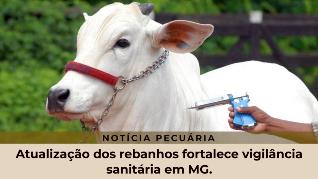 Atualização dos rebanhos fortalece vigilância sanitária em MG.