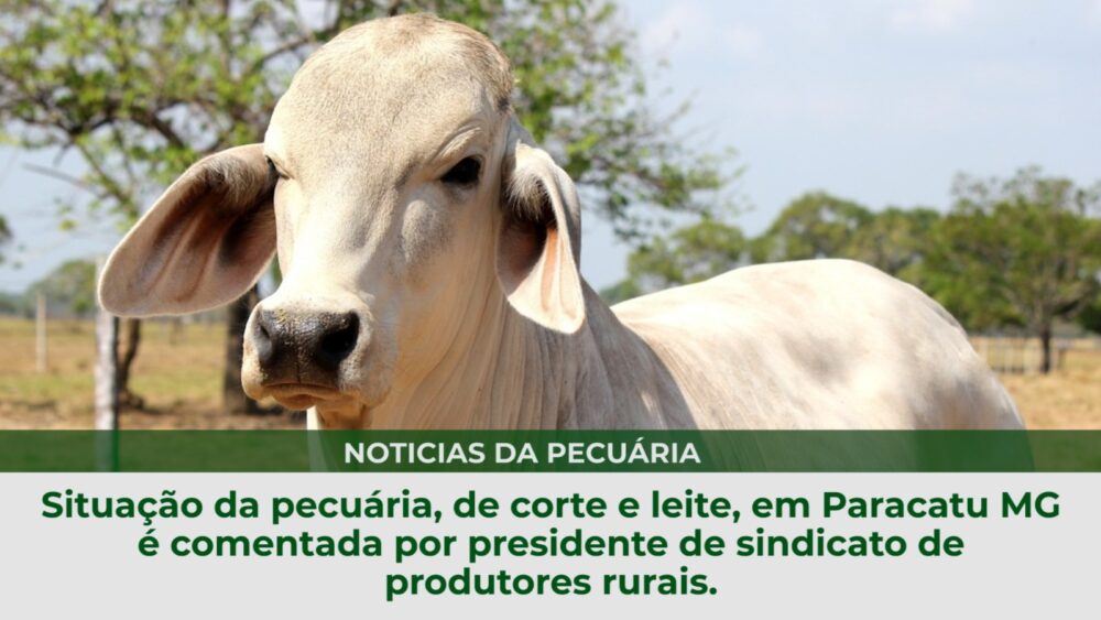 Situação da pecuária, de corte e leite, em Paracatu MG é comentada por presidente de sindicato de produtores rurais