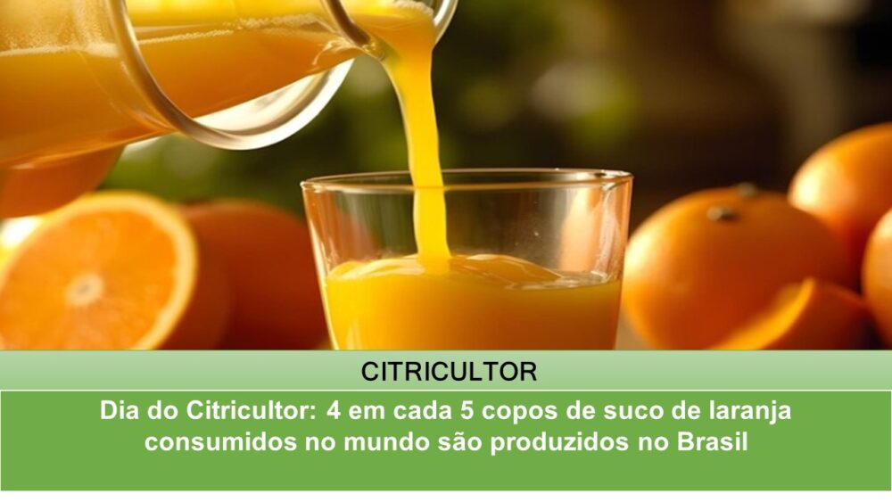 Dia do Citricultor: 4 em cada 5 copos de suco de laranja consumidos no mundo são produzidos no Brasil