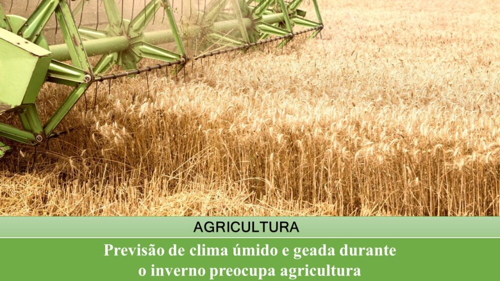 Previsão de clima úmido e geada durante o inverno preocupa agricultura