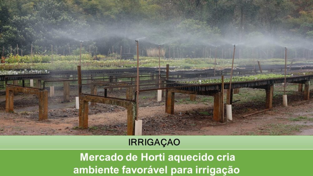 Mercado de Horti aquecido cria ambiente favorável para irrigação