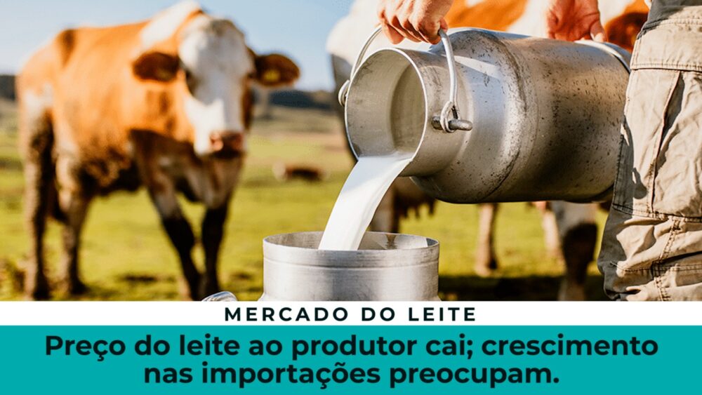 Retrospectiva - Top 5 Julho 23  Preço do leite ao produtor cai; crescimento nas importações preocupam