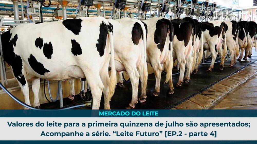 Retrospectiva - Top 5 Julho 23 Valores do leite para a primeira quinzena de julho são apresentados; Acompanhe a série “Leite Futuro” [EP.2 - parte 4]