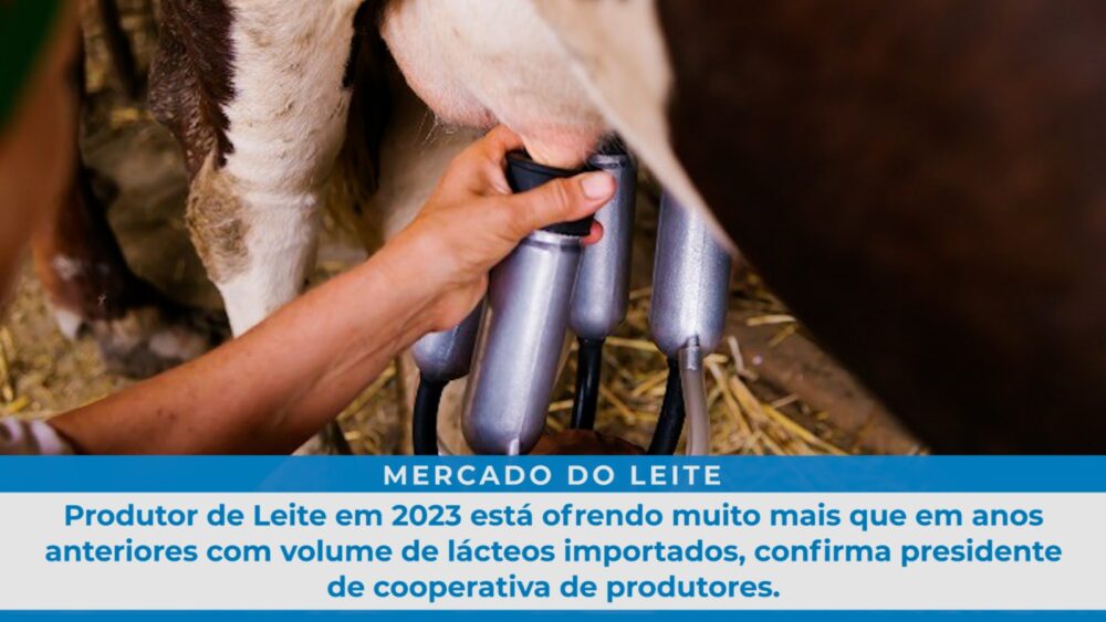 Produtor de Leite em 2023 está sofrendo muito mais que em anos anteriores com volume de lácteos