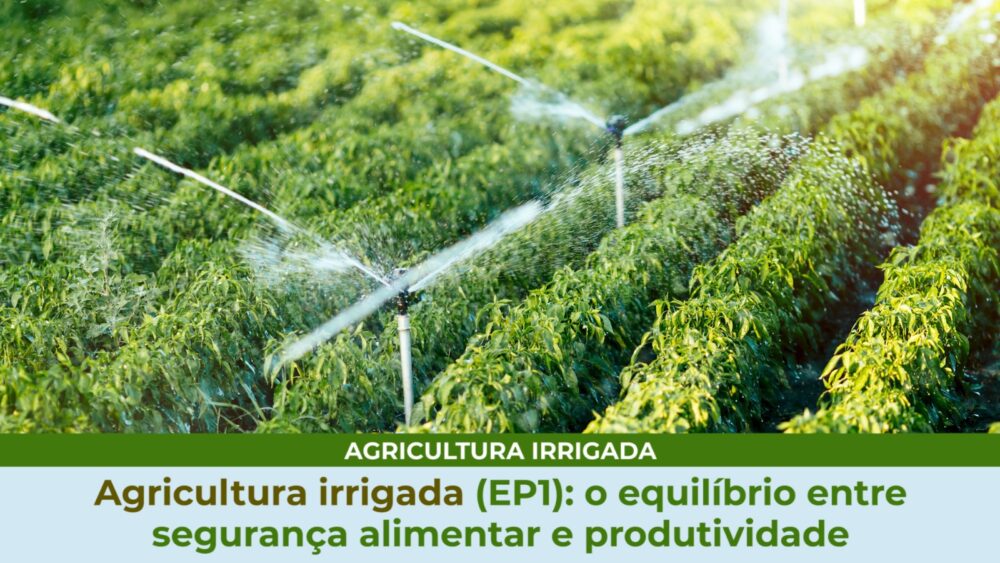 Agricultura irrigada (ep1): o equilíbrio entre segurança alimentar e produtividade