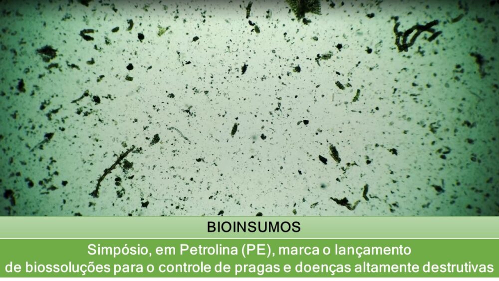 Simpósio, em Petrolina (PE), marca o lançamento de biossoluções para o controle de pragas e doenças altamente destrutivas