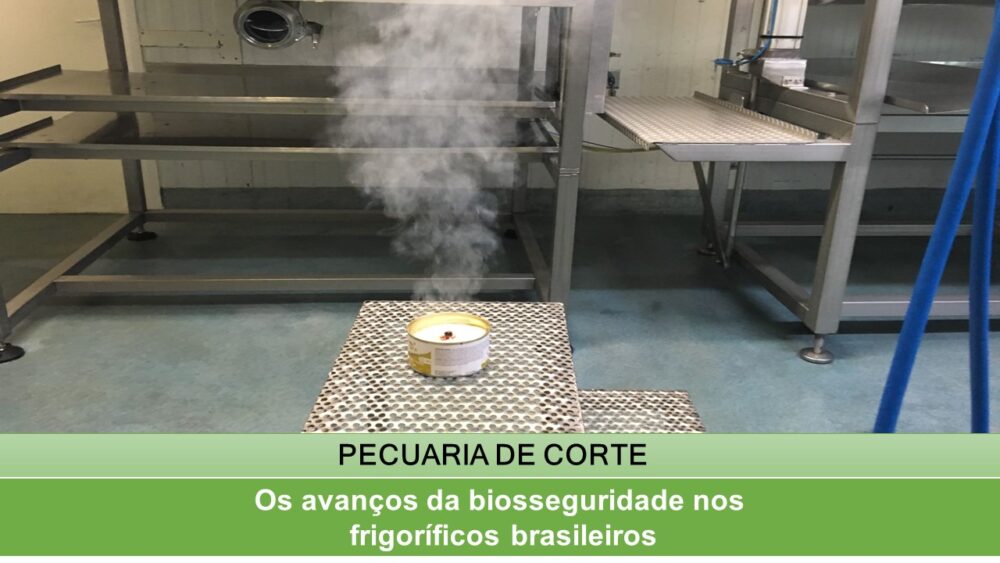 Os avanços da biosseguridade nos frigoríficos brasileiros