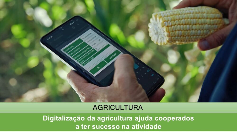 Digitalização Da Agricultura Ajuda Cooperados A Ter Sucesso Na ...