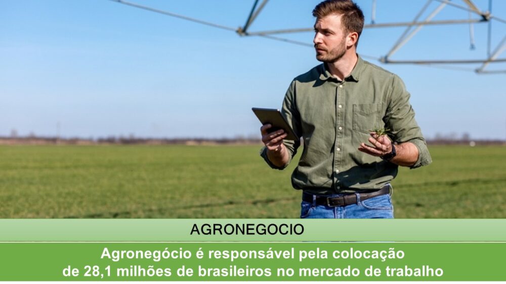 Agronegócio é responsável pela colocação de 28,1 milhões de brasileiros no mercado de trabalho