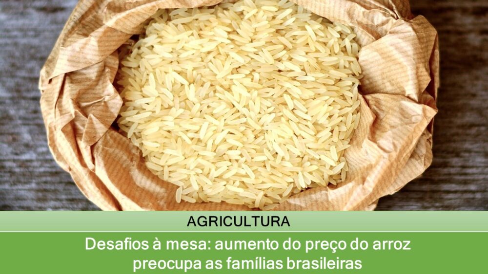 Desafios à mesa: aumento do preço do arroz preocupa as famílias brasileiras