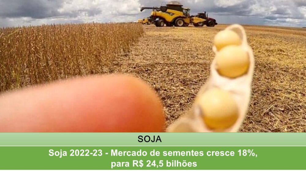 Soja 2022-23 - Mercado de sementes cresce 18%, para R$ 24,5 bilhões