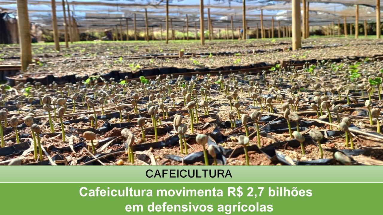 Cafeicultura movimenta R$ 2,7 bilhões em defensivos agrícolas