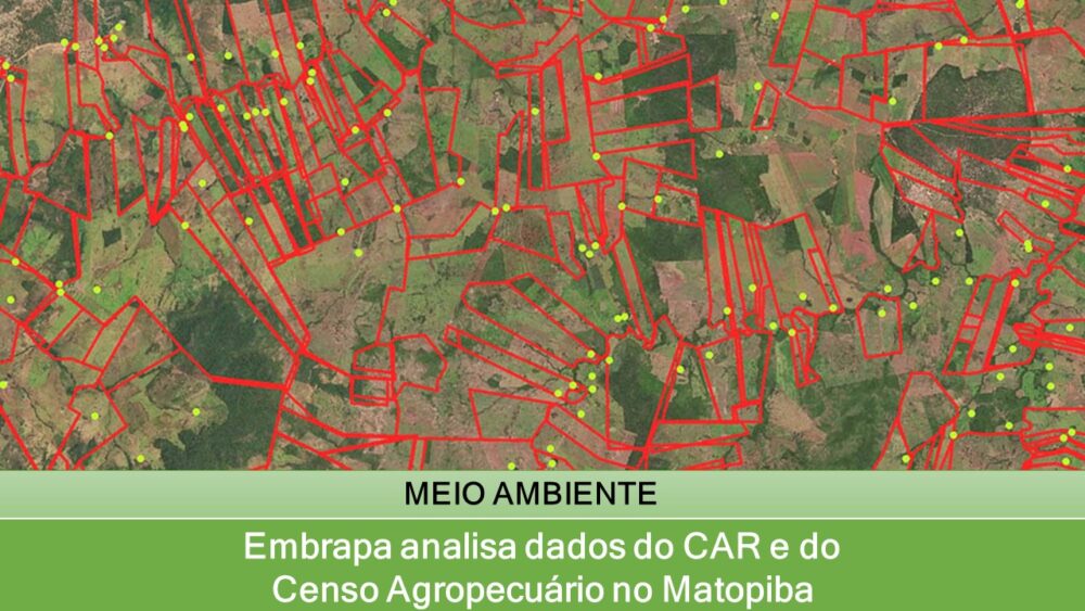 Embrapa analisa dados do CAR e do Censo Agropecuário no Matopiba