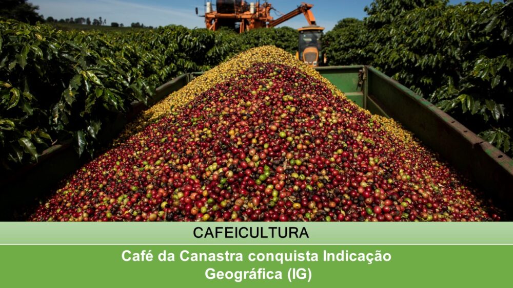 Café da Canastra conquista Indicação Geográfica (IG)