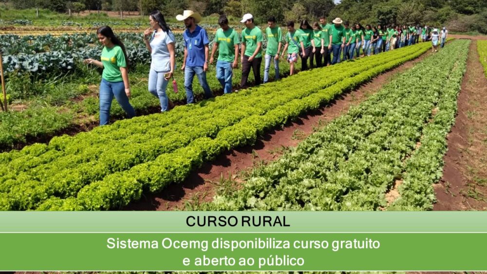 Sistema Ocemg disponibiliza curso gratuito e aberto ao público