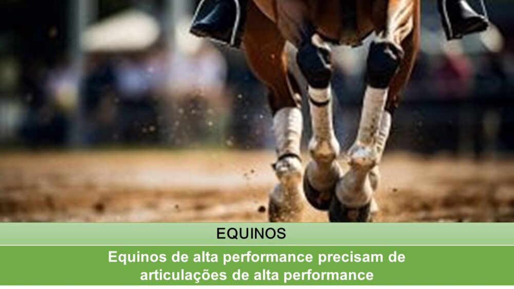 Equinos de alta performance precisam de articulações de alta performance