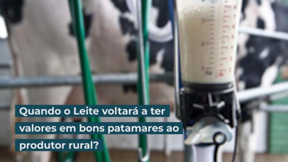 Quando o Leite voltará a ter valores em bons patamares ao produtor rural?