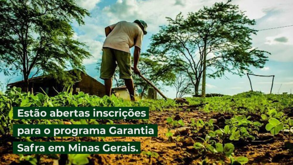 Estão abertas inscrições para o programa Garantia Safra em Minas Gerais