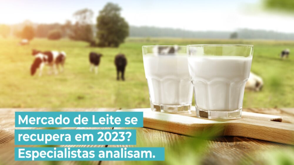 Mercado de Leite se recupera em 2023? Especialistas analisam