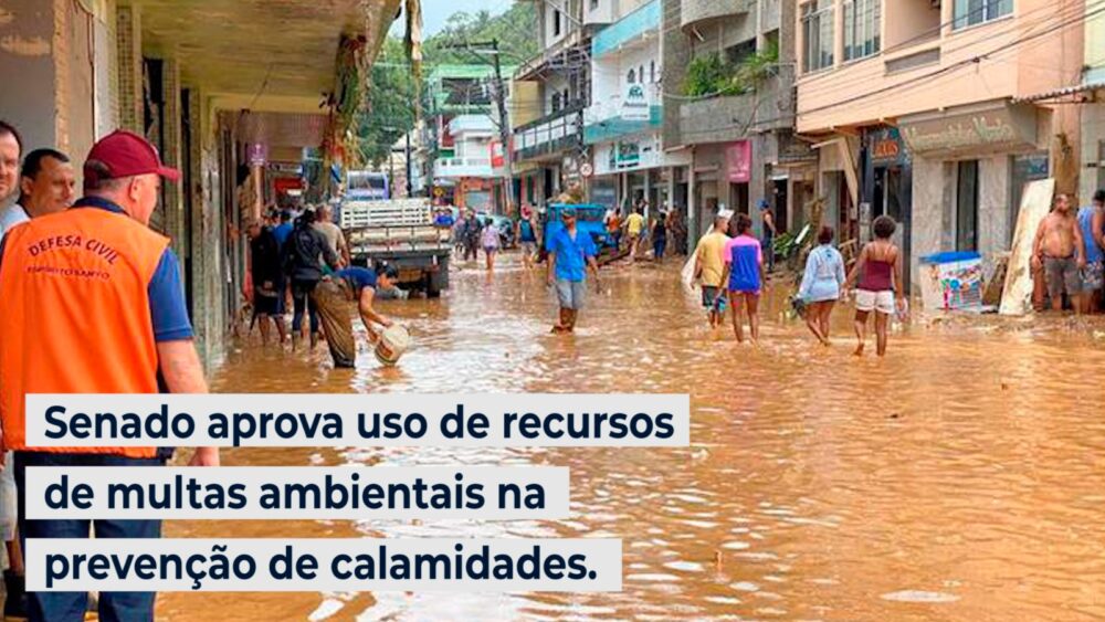 Recursos de multas ambientais serão usados na prevenção de calamidades