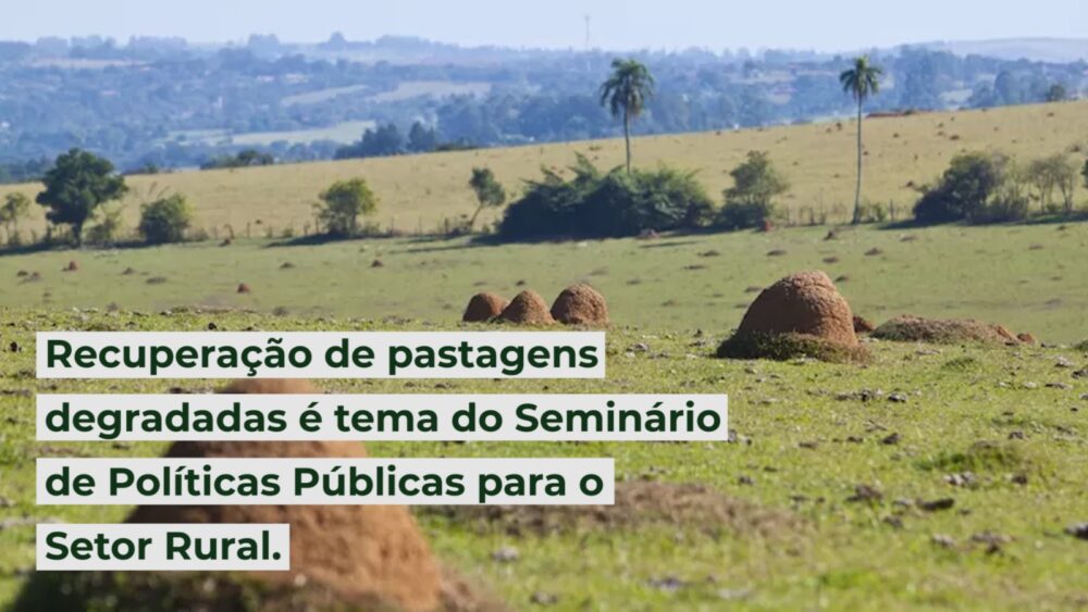 Recuperação de pastagens degradadas é tema do Seminário de Políticas Públicas para o Setor Rural