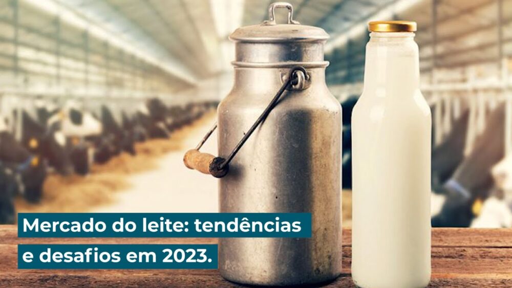 Mercado do leite: tendências e desafios em 2023