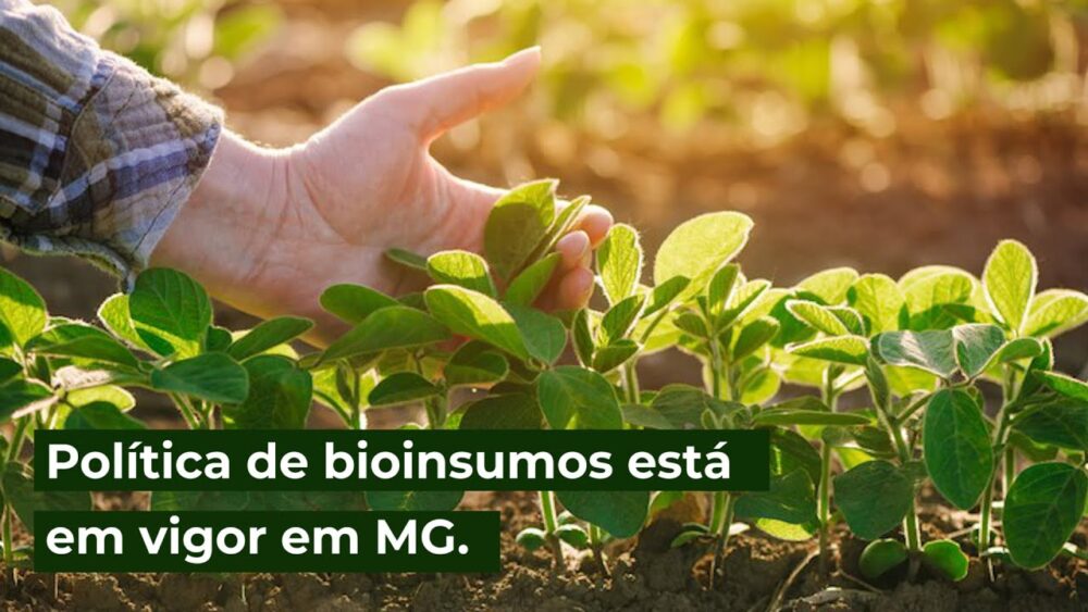 Política de bioinsumos está em vigor em MG